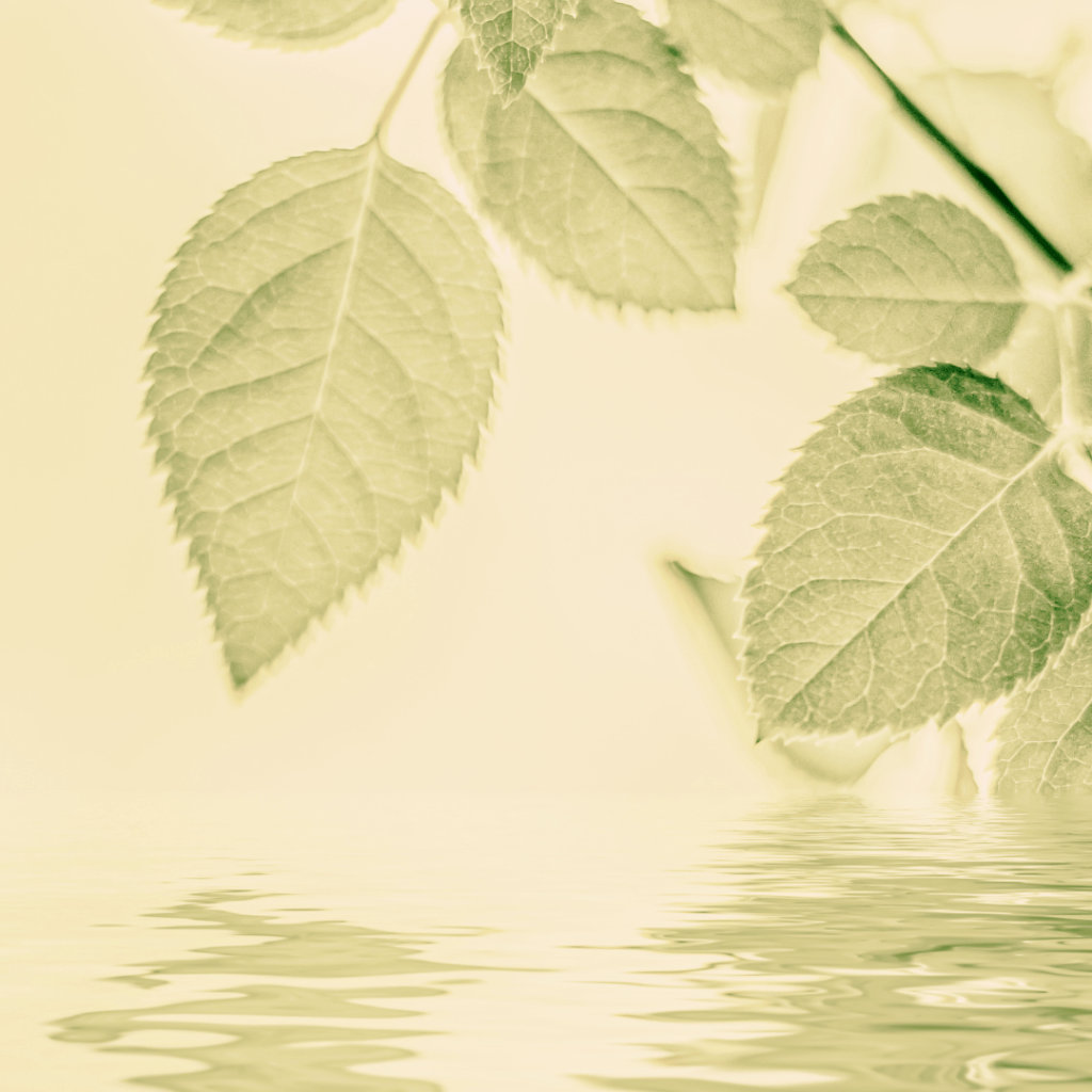 Bien-être
Relaxation
Développement personnel
Gestion du stress
Gestion de la charge mentale